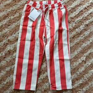 Another Fox Red and White Striped Pants